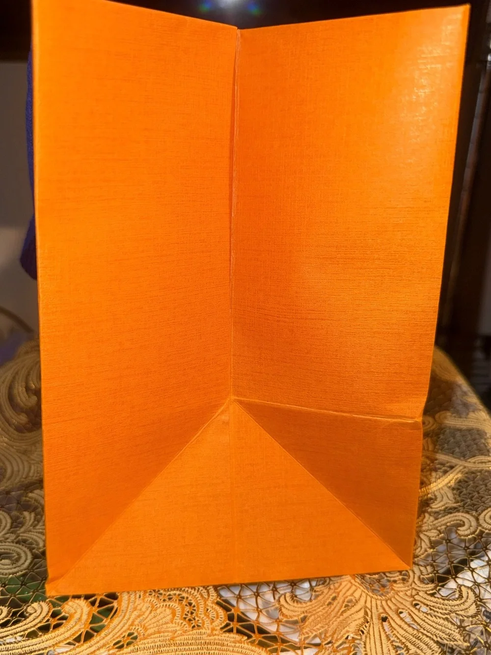 Brand New Authentic Louis Vuitton *Empty* Shopping Bags